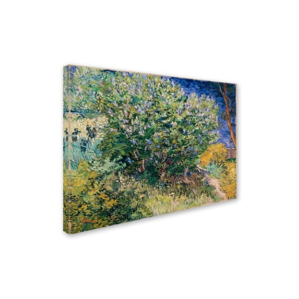 Van Gogh 'Lilac Bush' Canvas Art,35x47